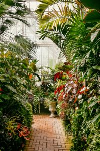 Lorem ipsum dolor sit amet